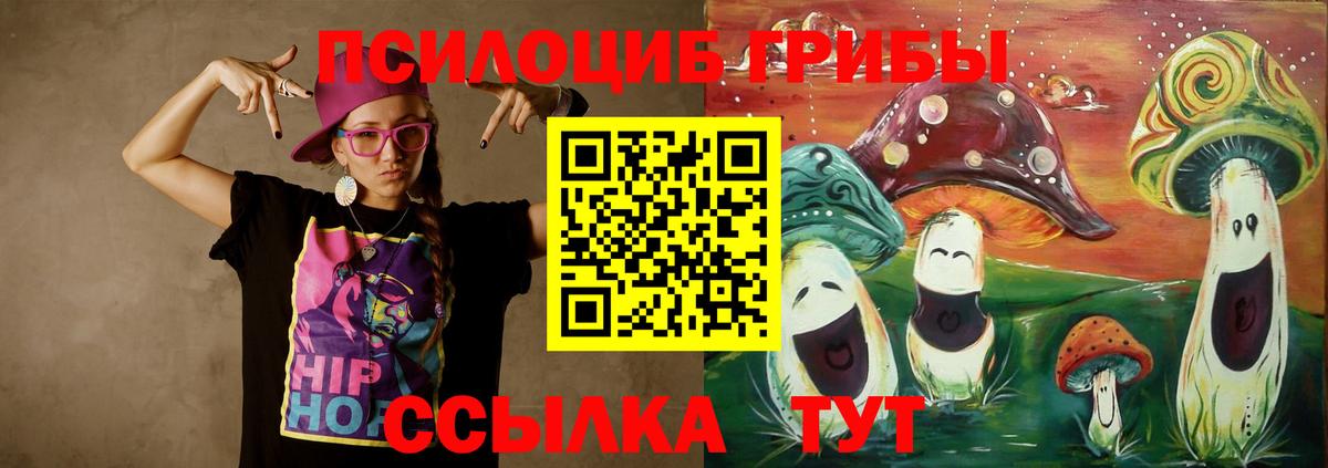 Галлюциногенные грибы Psilocybe  Вход с VPN  купить закладку  Евпатория 